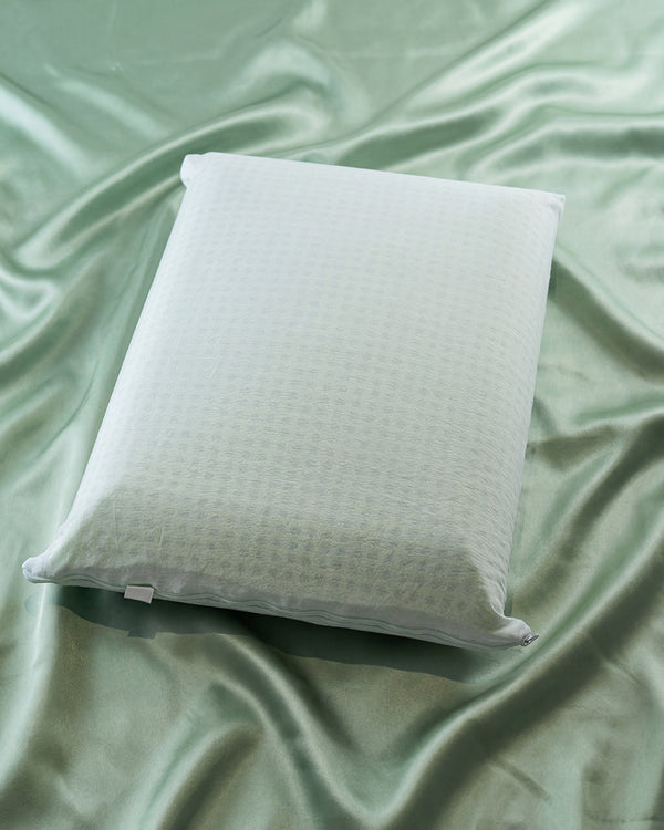 JASTËK ALOE MEMORY 60