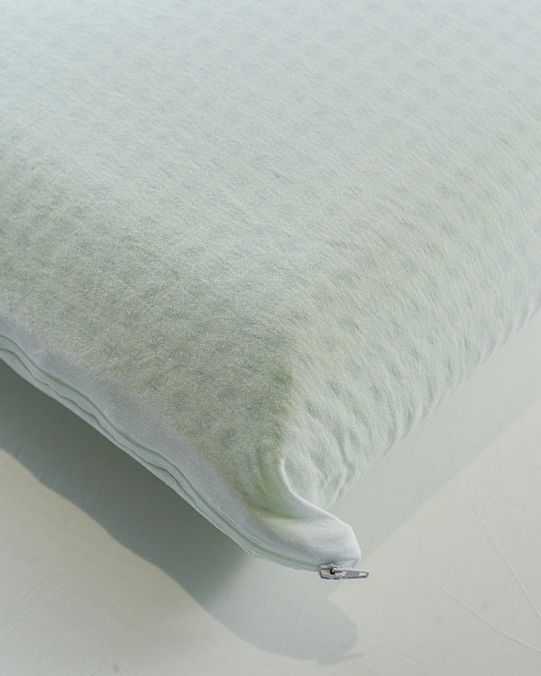 JASTËK ALOE MEMORY 60