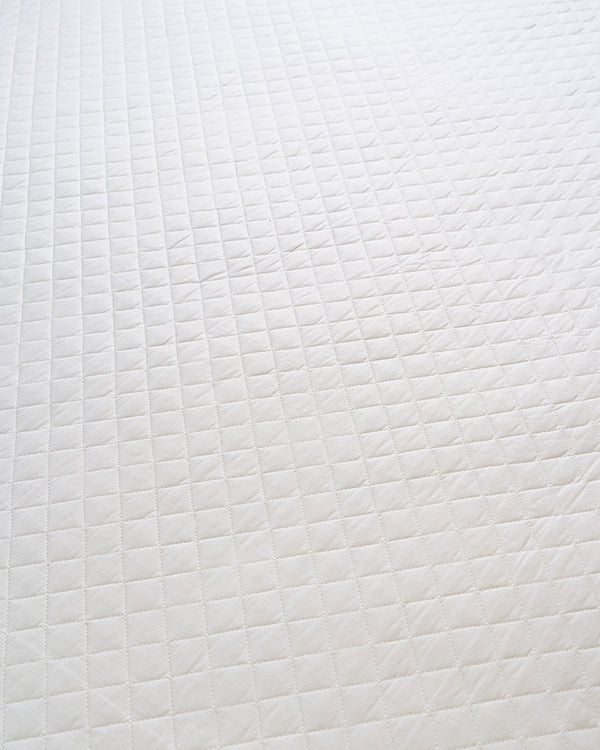 EGJEU MBROJTËSE DYSHEKU